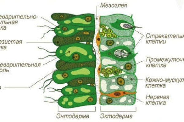 Ссылки на кракен зеркала