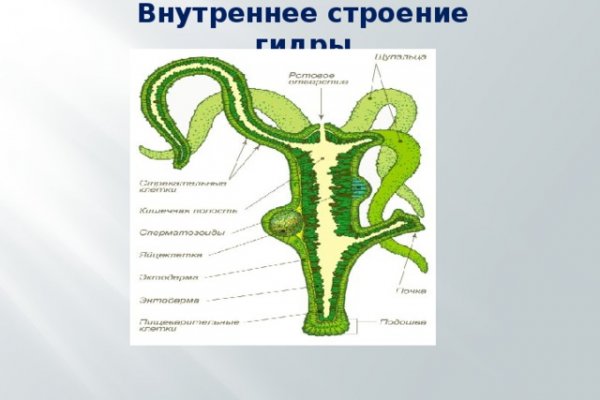 Как зайти на кракен через тор браузер